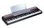 Piano Digital Korg SP-250 